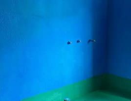 公安卫生间测漏水多少钱